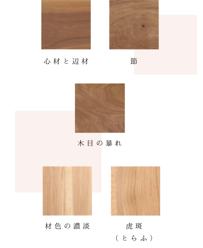 心材と辺材、節、木目の暴れ、材色の濃淡、虎斑(とらふ)